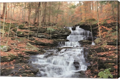 Framed Waterfall Steps at Pigeon Run Print