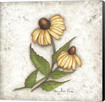 Framed Yellow Coneflowers Print