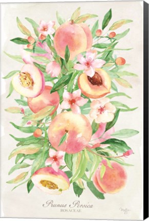 Framed Peach Bouquet Print