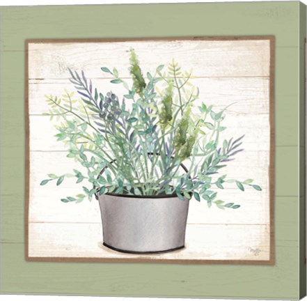 Framed Pot of Herbs II Print