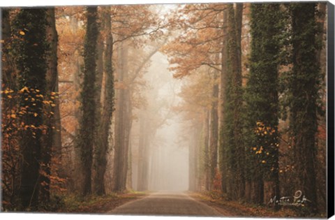 Framed Foggy Autumn Road Print