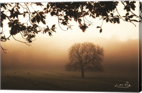 Framed Under the Leaves Print