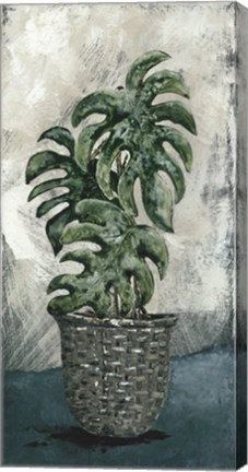 Framed Boho Monstera Print