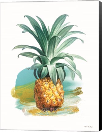 Framed Pineapple II Print