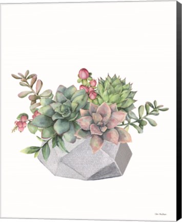 Framed Watercolor Succulents Print