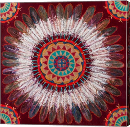 Framed Feather Power Print