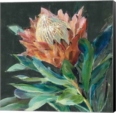 Framed Deep Protea Crop Print