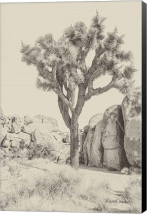 Framed Joshua Tree IV Neutral Print