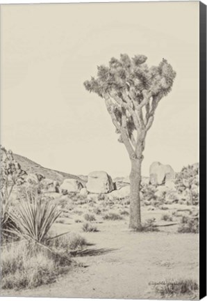 Framed Joshua Tree III Neutral Print