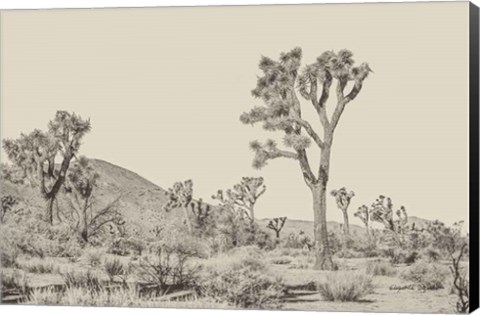 Framed Joshua Tree II Neutral Print