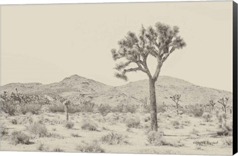 Framed Joshua Tree I Neutral Print