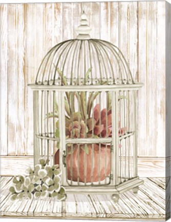 Framed Caged Beauty II Print