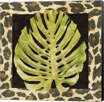 Framed Tropic Collection II Print