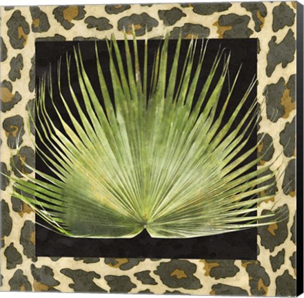 Framed Tropic Collection III Print