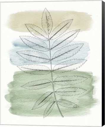 Framed Spring Branch II Print