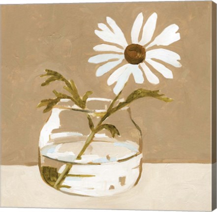 Framed Solitary Daisy II Print