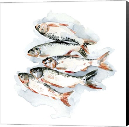 Framed Seafood Snack II Print