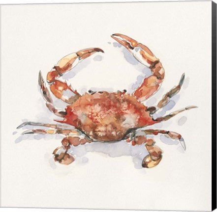 Framed Crusty Crab I Print