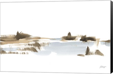 Framed Natural Shoreline II Print