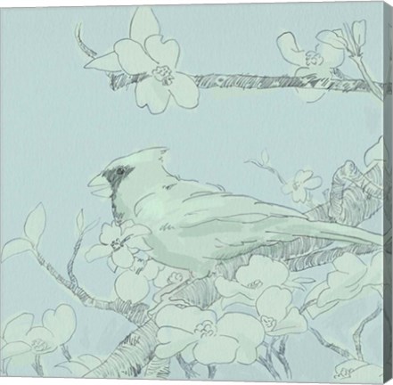 Framed Backyard Bird Sketch II Print