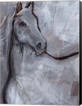 Framed White Horse Contour I Print