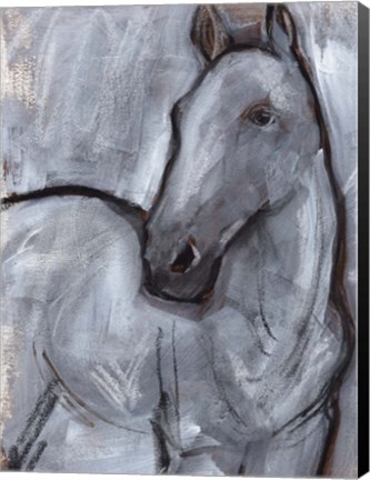 Framed White Horse Contour II Print