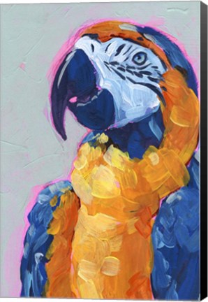 Framed Pop Art Parrot I Print