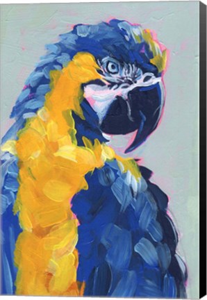 Framed Pop Art Parrot II Print