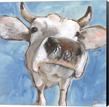 Framed Cattle Close-up I Print