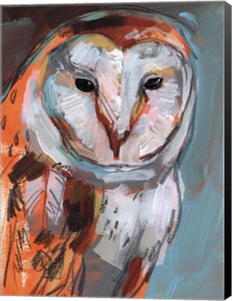 Framed Optic Owl I Print