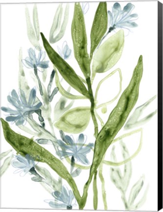 Framed Meadow Blues I Print