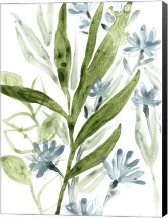 Framed Meadow Blues II Print