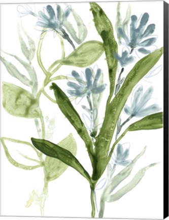 Framed Meadow Blues III Print