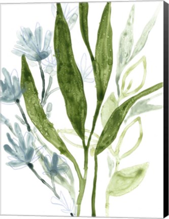 Framed Meadow Blues IV Print