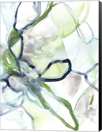 Framed Hive Cycle I Print