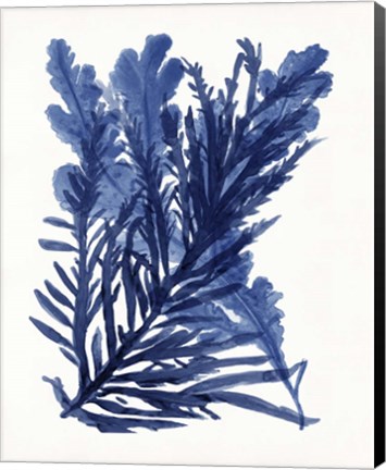 Framed Indigo Ocean III Print