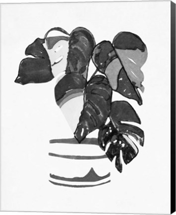 Framed B&amp;W Indoor Plant VI Print