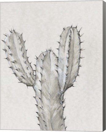 Framed Cactus Study II Print