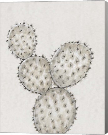 Framed Cactus Study IV Print