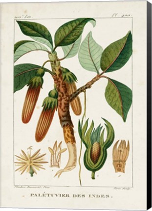 Framed Turpin Foliage &amp; Fruit I Print