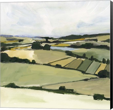 Framed Patchy Landscape II Print