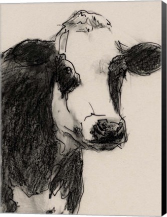 Framed Cow Portrait Sketch I Print