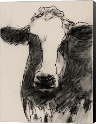 Framed Cow Portrait Sketch II Print