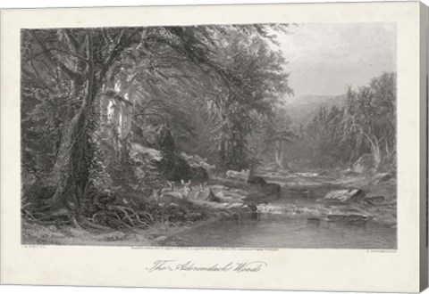 Framed Adirondack Woods Print