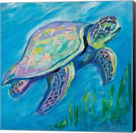 Framed Sea Turtle Swim Print