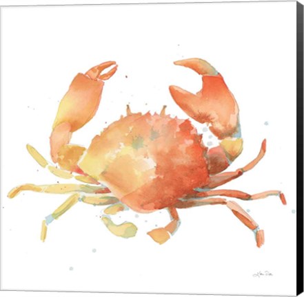 Framed Summertime Crab Print