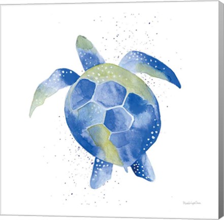 Framed Sea Turtle Print