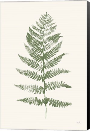 Framed Fern Print II White Crop Print