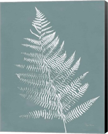 Framed Nature by the Lake Ferns VI Gray Mist Crop Print