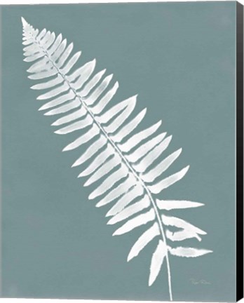 Framed Nature by the Lake Ferns IV Gray Mist Crop Print